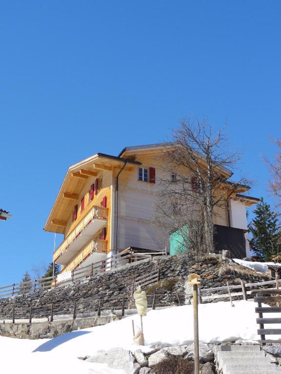 Chalet Schoenbuehl Мюррен Экстерьер фото